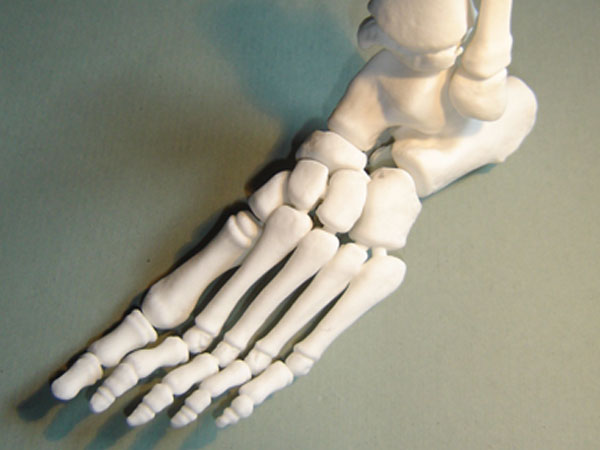 3D-printed-foot-bone-CT-scan